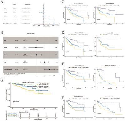 The combined signatures of programmed cell death and immune landscape provide a prognostic and therapeutic biomarker in the hepatocellular carcinoma